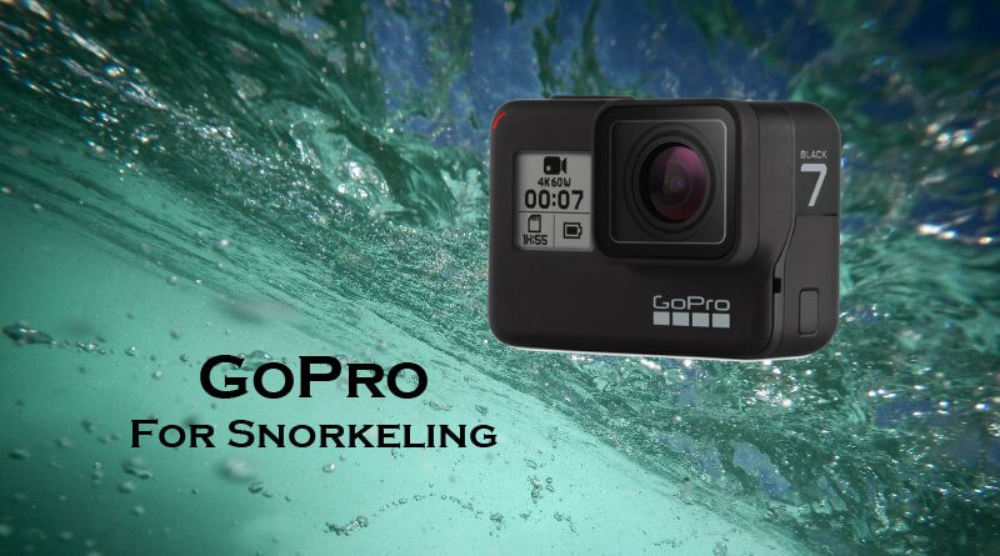 gopro